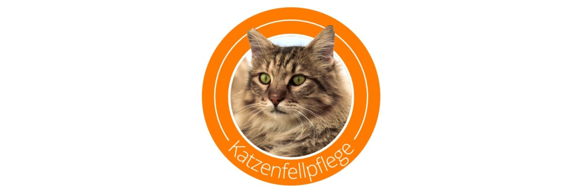 Wenn die Fellpflege bei Katzen nötig wird - Fellpflege bei Katzen - Tipps &amp;amp; Tricks rund um den Katzenpelz