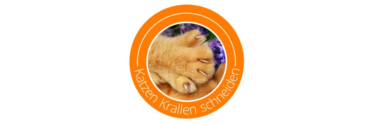 Pflege von Haustieren - Katzen Krallen schneiden - Katzen Krallen schneiden - Tipps &amp;amp; Tricks zur Krallenpflege