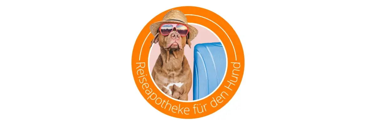 Reiseapotheke für den Hund – Alles was Ihr Vierbeiner braucht - Reiseapotheke für Hunde » Das gehört dazu, inkl. Checkliste